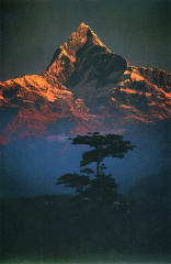 Galen Rowell - Mountain Light